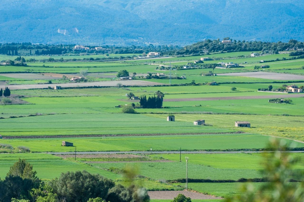 Villa Santa Margalida Dış mekan fotoğraf