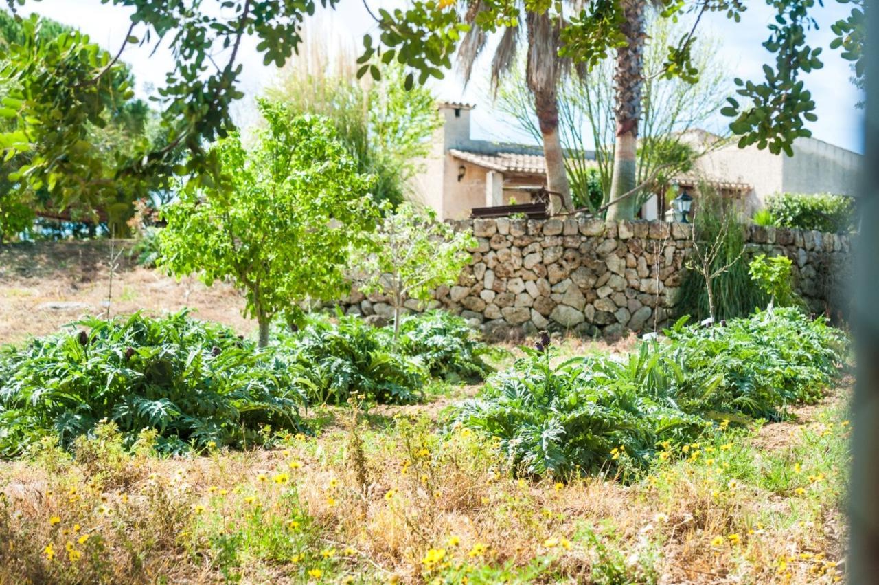 Villa Santa Margalida Dış mekan fotoğraf