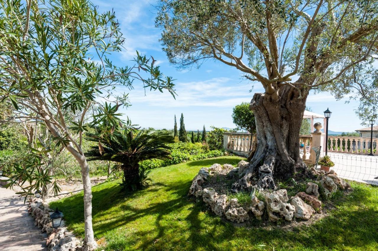 Villa Santa Margalida Dış mekan fotoğraf