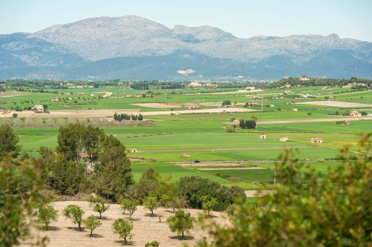 Villa Santa Margalida Dış mekan fotoğraf
